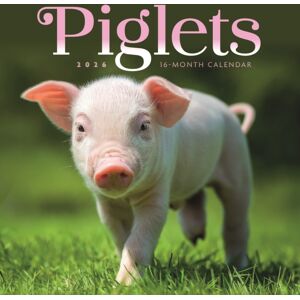 CAROUSEL CALENDARS 2026 Piglets Square Mini Sunday Start Calenda CAROUSEL CALENDARS 2026 Piglets Square Mini Sunday Start Calenda