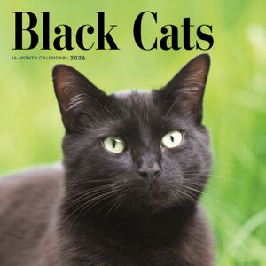 CAROUSEL CALENDARS 2026 Black Cats Square Wall Sunday Start Cale CAROUSEL CALENDARS 2026 Black Cats Square Wall Sunday Start Cale