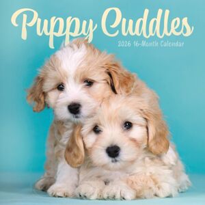 CAROUSEL CALENDARS 2026 Puppy Cuddles Square Wall Sunday Start C CAROUSEL CALENDARS 2026 Puppy Cuddles Square Wall Sunday Start C
