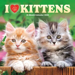 CAROUSEL CALENDARS 2026 I Love Kittens Square Wall Sunday Start CAROUSEL CALENDARS 2026 I Love Kittens Square Wall Sunday Start