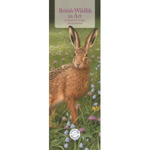 CAROUSEL CALENDARS 2027 British Wildlife In Art By Robert Fuller (Pfp) Slim CAROUSEL CALENDARS 2027 British Wildlife In Art By Robert Fuller (Pfp) Slim
