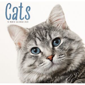 CAROUSEL CALENDARS 2026 Cats Square Wall Sunday Start Calendar 2 CAROUSEL CALENDARS 2026 Cats Square Wall Sunday Start Calendar 2