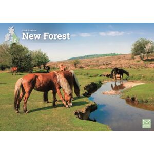 CAROUSEL CALENDARS 2026 Forest A4 Calendar 2026 CAROUSEL CALENDARS 2026 Forest A4 Calendar 2026