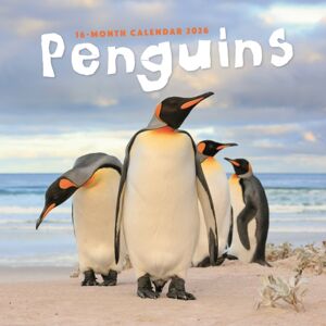 CAROUSEL CALENDARS 2026 Penguins Square Wall Sunday Start Calend CAROUSEL CALENDARS 2026 Penguins Square Wall Sunday Start Calend