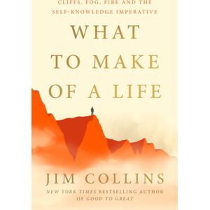 Cornerstone What To Make Of A Life : Cliffs, Fog, Fire And The Self-Knowledge Imperative Cornerstone What To Make Of A Life : Cliffs, Fog, Fire And The Self-Knowledge Imperative