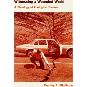 Fordham University Press Witnessing A Wounded World : A Theology Of Ecological Trauma Fordham University Press Witnessing A Wounded World : A Theology Of Ecological Trauma