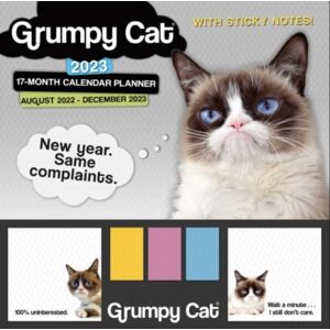 GLOBAL PUBLISHER SERVICES Grumpy Cat Its All Downhill From Here GLOBAL PUBLISHER SERVICES Grumpy Cat Its All Downhill From Here