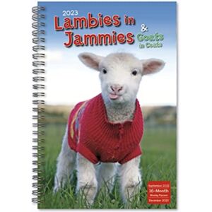 GLOBAL PUBLISHER SERVICES Lambies In Jammies Goats In Coats GLOBAL PUBLISHER SERVICES Lambies In Jammies Goats In Coats