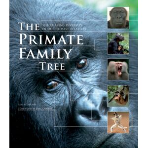 Firefly Books Ltd The Primate Family Tree : The Amazing Diversity Of Our Closest Relatives Firefly Books Ltd The Primate Family Tree : The Amazing Diversity Of Our Closest Relatives