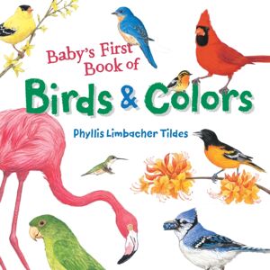 Charlesbridge Publishing,U.S. Baby'S First Book Of Birds & Colors Charlesbridge Publishing,U.S. Baby'S First Book Of Birds & Colors