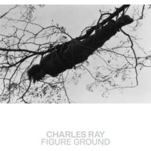 Metropolitan Museum of Art Charles Ray : Figure Ground Metropolitan Museum of Art Charles Ray : Figure Ground