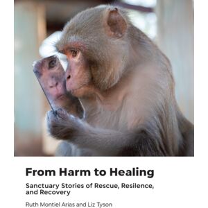 Lantern Books,US From Harm To Healing : Sanctuary Stories Of Rescue, Resilience, And Recovery Lantern Books,US From Harm To Healing : Sanctuary Stories Of Rescue, Resilience, And Recovery