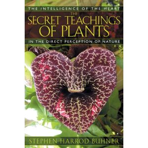 Inner Traditions Bear and Company The Secret Teachings Of Plants : The Intelligence Of The Heart In The Direct Perception Of Nature Inner Traditions Bear and Company The Secret Teachings Of Plants : The Intelligence Of The Heart In The Direct Perception Of Nature