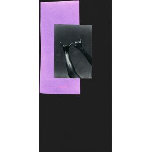 Aperture Dionne Lee: A Monograph Aperture Dionne Lee: A Monograph