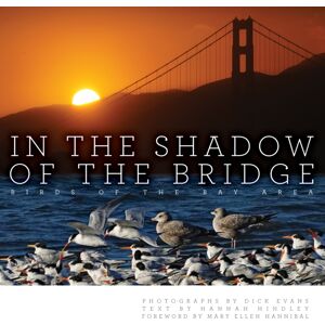 Heyday Books In The Shadow Of The Bridge : Birds Of The Bay Area Heyday Books In The Shadow Of The Bridge : Birds Of The Bay Area