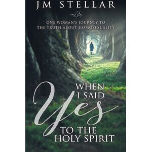Innovo Publishing LLC When I Said Yes To The Holy Spirit : One Woman'S Journey To The Truth About Homosexuality Innovo Publishing LLC When I Said Yes To The Holy Spirit : One Woman'S Journey To The Truth About Homosexuality