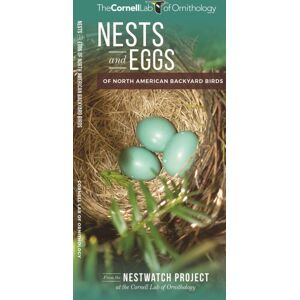 Waterford Press Ltd Nests And Eggs Of North American Backyard Birds Waterford Press Ltd Nests And Eggs Of North American Backyard Birds