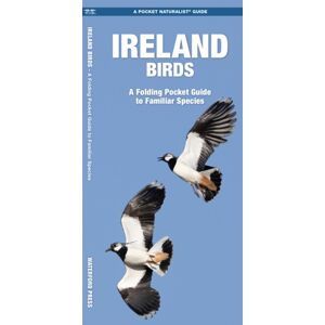 Waterford Press Ltd Ireland Birds, 2nd Ed Waterford Press Ltd Ireland Birds, 2nd Ed
