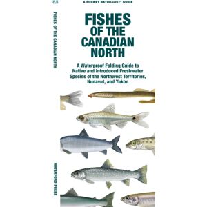 Waterford Press Ltd Fishes Of The Canadian North Waterford Press Ltd Fishes Of The Canadian North