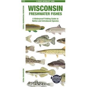 Waterford Press Ltd Wisconsin Freshwater Fishes Waterford Press Ltd Wisconsin Freshwater Fishes