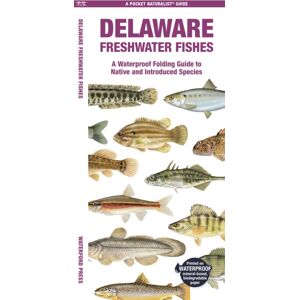 Waterford Press Ltd Delaware Freshwater Fishes Waterford Press Ltd Delaware Freshwater Fishes