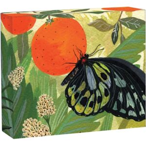 teNeues Calendars & Stationery GmbH & Co. KG Butterflies Quicknotes teNeues Calendars & Stationery GmbH & Co. KG Butterflies Quicknotes