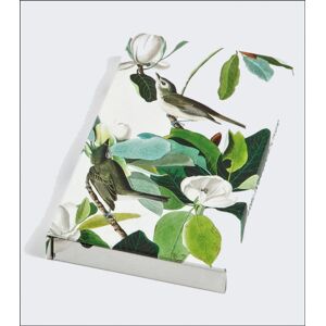 teNeues Calendars & Stationery GmbH & Co. KG Warbling Flycatcher, James Audubon 8-Pen Set teNeues Calendars & Stationery GmbH & Co. KG Warbling Flycatcher, James Audubon 8-Pen Set