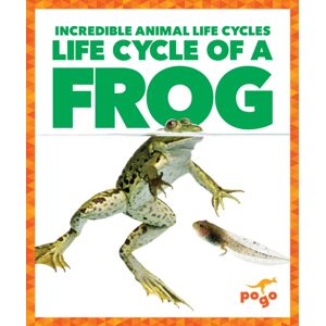 Jump! Incorporated Life Cycle Of A Frog Jump! Incorporated Life Cycle Of A Frog