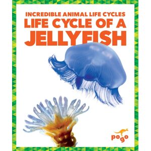 Jump! Incorporated Life Cycle Of A Jellyfish Jump! Incorporated Life Cycle Of A Jellyfish