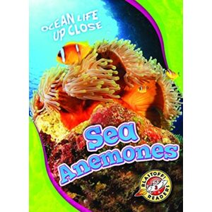 Bellwether Media Sea Anemones Bellwether Media Sea Anemones