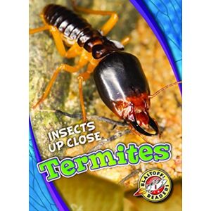 Bellwether Media Termites Bellwether Media Termites