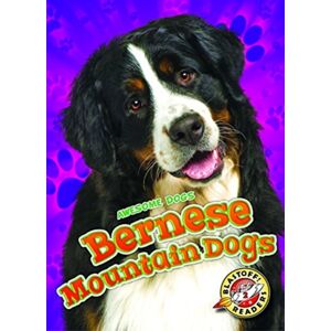 Bellwether Media Bernese Mountain Dogs Bellwether Media Bernese Mountain Dogs