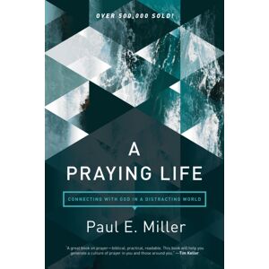 NavPress Publishing Group Praying Life, A : Connecting With God In A Distracting World NavPress Publishing Group Praying Life, A : Connecting With God In A Distracting World