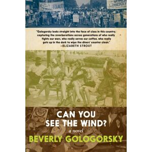 Seven Stories Press,U.S. Can You See The Wind? Seven Stories Press,U.S. Can You See The Wind?
