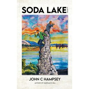 Rare Bird Books Soda Lake : A Novel Rare Bird Books Soda Lake : A Novel