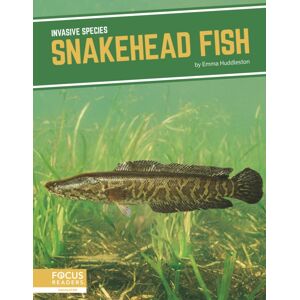 North Star Editions Snakehead Fish North Star Editions Snakehead Fish