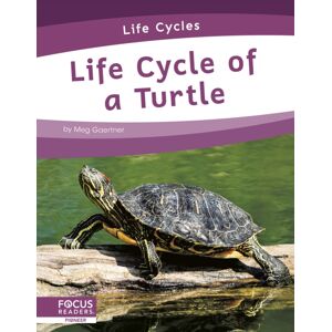 North Star Editions Life Cycle Of A Turtle North Star Editions Life Cycle Of A Turtle