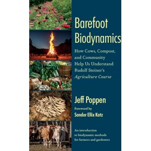 Chelsea Green Publishing Co Barefoot Biodynamics : How Cows, Compost, And Community Help Us Understand Rudolf Steiner’s Agriculture Course Chelsea Green Publishing Co Barefoot Biodynamics : How Cows, Compost, And Community Help Us Understand Rudolf Steiner’s Agriculture Course