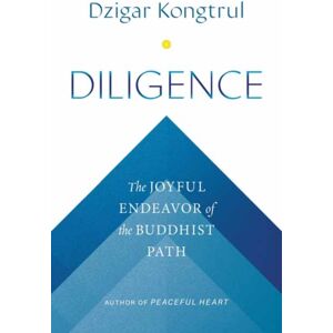 Shambhala Publications Inc Diligence : The Joyful Endeavor Of The Buddhist Path Shambhala Publications Inc Diligence : The Joyful Endeavor Of The Buddhist Path