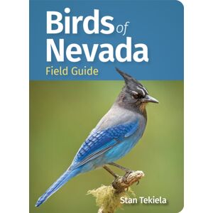 Adventure Publications, Incorporated Birds Of Nevada Field Guide Adventure Publications, Incorporated Birds Of Nevada Field Guide