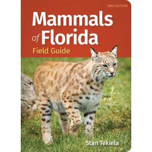 Adventure Publications, Incorporated Mammals Of Florida Field Guide Adventure Publications, Incorporated Mammals Of Florida Field Guide
