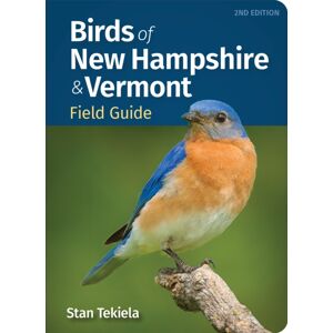 Adventure Publications, Incorporated Birds Of Hampshire & Vermont Field Guide Adventure Publications, Incorporated Birds Of Hampshire & Vermont Field Guide