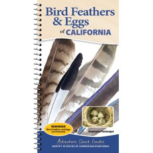 Adventure Publications, Incorporated Bird Feathers & Eggs Of California : Identify 40 Species Of Common Backyard Birds Adventure Publications, Incorporated Bird Feathers & Eggs Of California : Identify 40 Species Of Common Backyard Birds