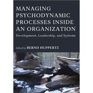 Bloomsbury Publishing Plc Managing Psychodynamic Processes Inside An Organization : Development, Leadership, And Systems Bloomsbury Publishing Plc Managing Psychodynamic Processes Inside An Organization : Development, Leadership, And Systems