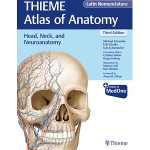 Thieme Medical Publishers Inc Head, Neck, And Neuroanatomy (Thieme Atlas Of Anatomy), Latin Nomenclature Thieme Medical Publishers Inc Head, Neck, And Neuroanatomy (Thieme Atlas Of Anatomy), Latin Nomenclature