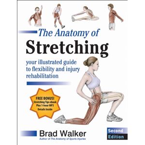 Human Kinetics Publishers The Anatomy Of Stretching : Your Illustrated Guide To Flexibility And Injury Rehabilitation Human Kinetics Publishers The Anatomy Of Stretching : Your Illustrated Guide To Flexibility And Injury Rehabilitation