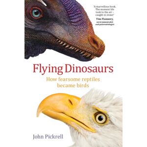 NewSouth Publishing Flying Dinosaurs : How Fearsome Reptiles Became Birds NewSouth Publishing Flying Dinosaurs : How Fearsome Reptiles Became Birds