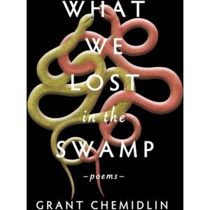 Central Avenue Publishing What We Lost In The Swamp : Poems Central Avenue Publishing What We Lost In The Swamp : Poems