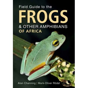 Penguin Random House South Africa Field Guide To Frogs And Other Amphibians Of Africa Penguin Random House South Africa Field Guide To Frogs And Other Amphibians Of Africa