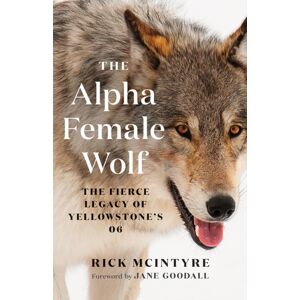 Greystone Books,Canada The Alpha Female Wolf : The Fierce Legacy Of Yellowstone'S 06 Greystone Books,Canada The Alpha Female Wolf : The Fierce Legacy Of Yellowstone'S 06